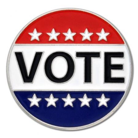 VOTE Lapel Pin
