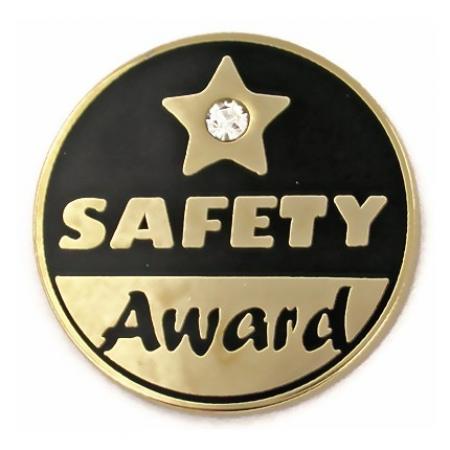 Safety Award Pin 