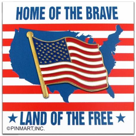     American Flag Pin and Card