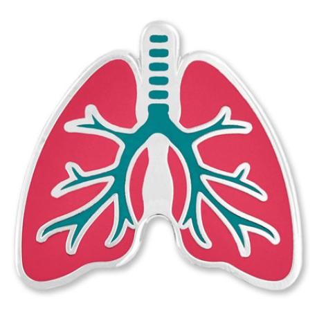     Human Lungs Lapel Pin