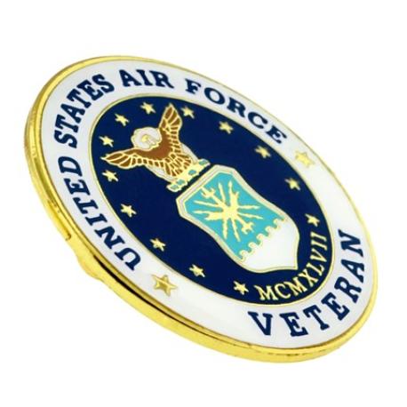     U.S. Air Force Veteran Pin